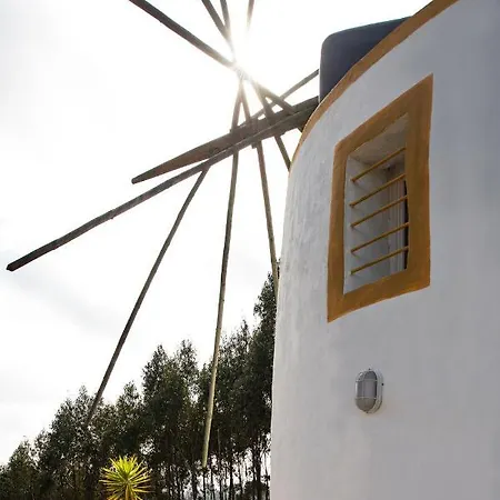 Villa Delightful Forest Windmill, 10 Min Away From The Beach