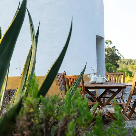 Delightful Forest Windmill, 10 Min Away From The Villa