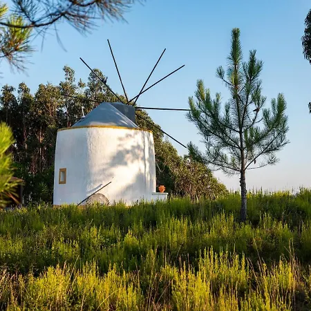 Villa Delightful Forest Windmill, 10 Min Away From The *